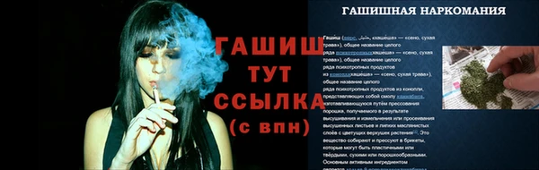 сатива Балахна