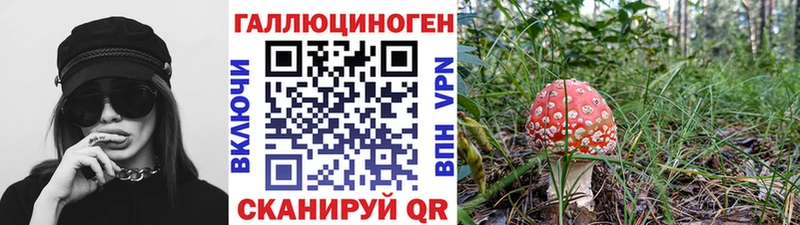 кракен зеркало  мориарти какой сайт  Псилоцибиновые грибы мицелий  Фрязино 