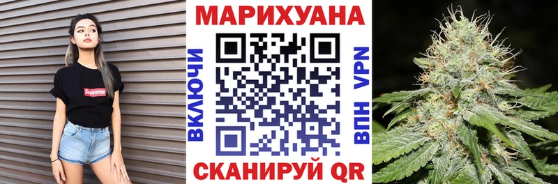 Каннабис сатива  как найти наркотики  Фрязино 
